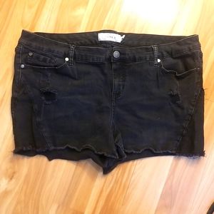 Torrid jean shorts